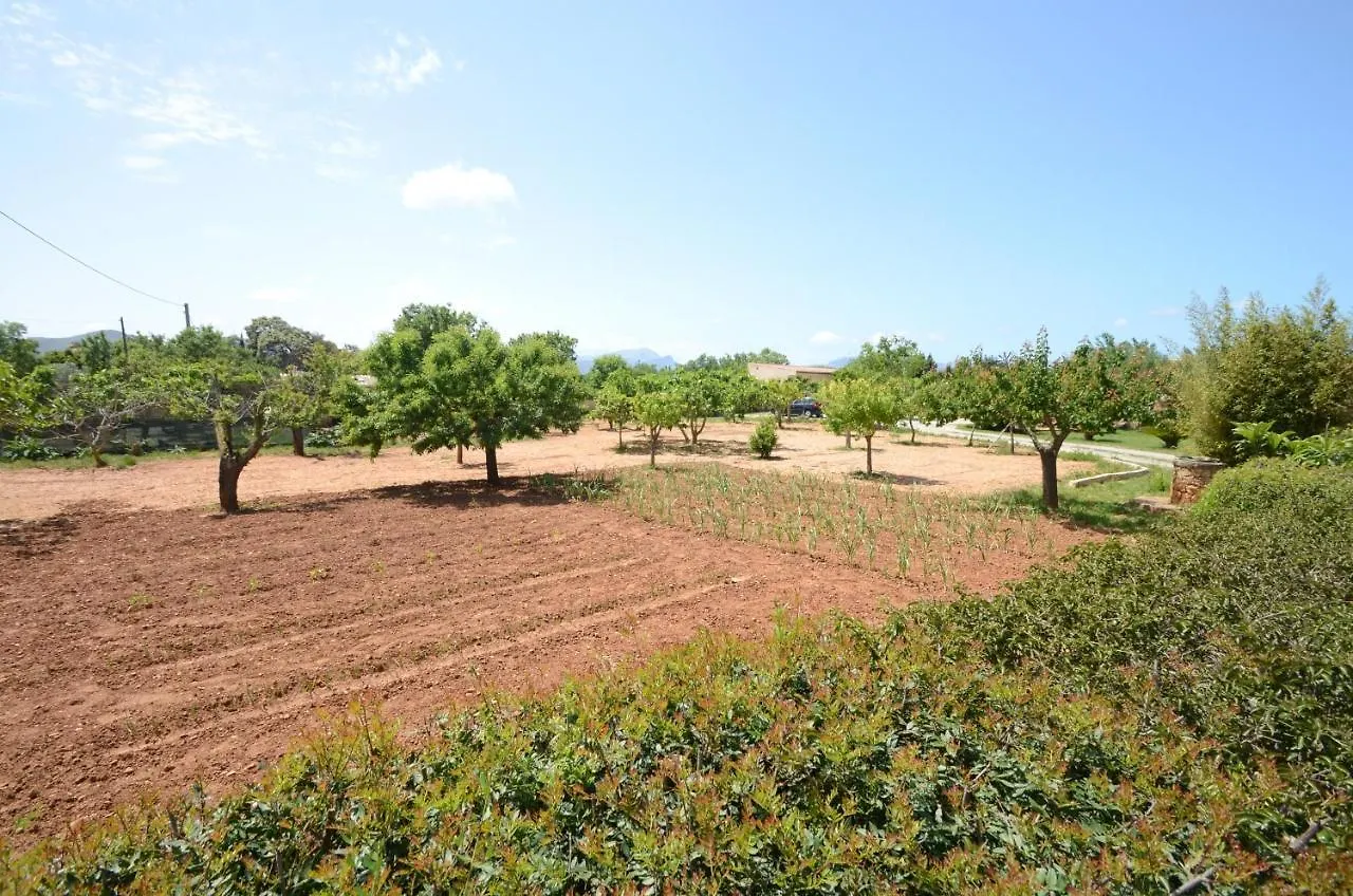 Villa Can Pau, Pool And Garden Close To The Beach Port de Alcudia  0*, Port de Alcudia (Mallorca) Hiszpania